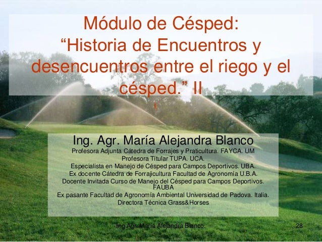 Módulo de césped.