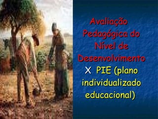 Avaliação Pedagógica do Nível de Desenvolvimento  X   PIE (plano individualizado educacional)  