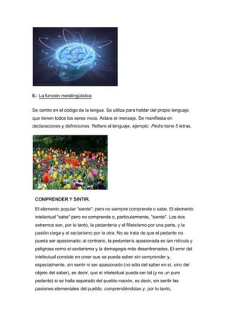 Mòdulo de lenguaje y comunicación de la u.t.a