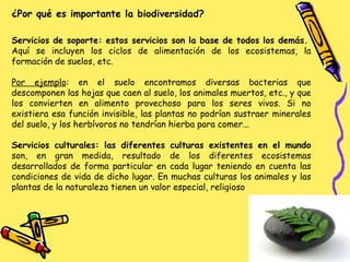 Servicios de soporte: estos servicios son la base de todos los demás. Aquí se incluyen los ciclos de alimentación de los ecosistemas, la formación de suelos, etc. Por ejemplo : en el suelo encontramos diversas bacterias que descomponen las hojas que caen al suelo, los animales muertos, etc., y que los convierten en alimento provechoso para los seres vivos. Si no existiera esa función invisible, las plantas no podrían sustraer minerales del suelo, y los herbívoros no tendrían hierba para comer... Servicios culturales: las diferentes culturas existentes en el mundo  son, en gran medida, resultado de los diferentes ecosistemas desarrollados de forma particular en cada lugar teniendo en cuenta las condiciones de vida de dicho lugar. En muchas culturas los animales y las plantas de la naturaleza tienen un valor especial, religioso ¿Por qué es importante la biodiversidad? 