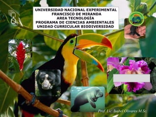 UNIVERSIDAD NACIONAL EXPERIMENTAL
      FRANCISCO DE MIRANDA
         AREA TECNOLOGÍA
PROGRAMA DE CIENCIAS AMBIENTALES
 UNIDAD CURRICULAR BIODIVERSIDAD




                         Prof. Lic. Isabel Olivares M.Sc.
 