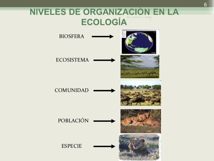 Módulo i generalidades sobre la ecología