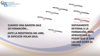 CUANDO UNA GAVIOTA SALE
DE FORMACIÓN...
ANTE LA RESISTENCIA DEL AIRE,
SE DIFICULTA VOLAR SOLA.
RÁPIDAMENTE
RETORNA A LA
FORMACIÓN, PARA
APROVECHAR EL
PODER QUE LE DAN
LAS QUE ESTÁN AL
FRENTE.
 