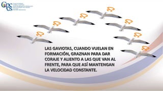 LAS GAVIOTAS, CUANDO VUELAN EN
FORMACIÓN, GRAZNAN PARA DAR
CORAJE Y ALIENTO A LAS QUE VAN AL
FRENTE, PARA QUE ASÍ MANTENGAN
LA VELOCIDAD CONSTANTE.
 
