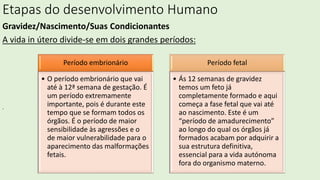 Etapas do desenvolvimento Humano
Gravidez/Nascimento/Suas Condicionantes
A vida in útero divide-se em dois grandes períodos:
.
Período embrionário
• O período embrionário que vai
até à 12ª semana de gestação. É
um período extremamente
importante, pois é durante este
tempo que se formam todos os
órgãos. É o período de maior
sensibilidade às agressões e o
de maior vulnerabilidade para o
aparecimento das malformações
fetais.
Período fetal
• Ás 12 semanas de gravidez
temos um feto já
completamente formado e aqui
começa a fase fetal que vai até
ao nascimento. Este é um
“período de amadurecimento”
ao longo do qual os órgãos já
formados acabam por adquirir a
sua estrutura definitiva,
essencial para a vida autónoma
fora do organismo materno.
 