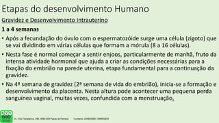 Etapas do desenvolvimento Humano
Gravidez e Desenvolvimento Intrauterino
1 a 4 semanas
• Após a fecundação do óvulo com o espermatozóide surge uma célula (zigoto) que
se vai dividindo em várias células que formam a mórula (8 a 16 células).
• Nesta fase é normal começar a sentir enjoos, particularmente de manhã, fruto da
intensa atividade hormonal que ajuda a criar as condições necessárias para a
fixação do embrião na parede uterina, etapa fundamental para a continuação da
gravidez.
• Na 4ª semana de gravidez (2ª semana de vida do embrião), inicia-se a formação e
desenvolvimento da placenta. Nesta altura pode acontecer uma pequena perda
sanguínea vaginal, muitas vezes, confundida com a menstruação.
.
 