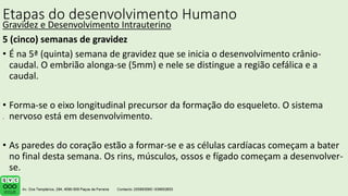 Etapas do desenvolvimento Humano
Gravidez e Desenvolvimento Intrauterino
5 (cinco) semanas de gravidez
• É na 5ª (quinta) semana de gravidez que se inicia o desenvolvimento crânio-
caudal. O embrião alonga-se (5mm) e nele se distingue a região cefálica e a
caudal.
• Forma-se o eixo longitudinal precursor da formação do esqueleto. O sistema
nervoso está em desenvolvimento.
• As paredes do coração estão a formar-se e as células cardíacas começam a bater
no final desta semana. Os rins, músculos, ossos e fígado começam a desenvolver-
se.
.
 