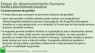 Etapas do desenvolvimento Humano
Gravidez e Desenvolvimento Intrauterino
5 (cinco) semanas de gravidez
• É nesta altura que começam os primeiros sintomas de gravidez!
• Após este período o médico obstetra pode realizar uma ecografia (ou
ultrassonografia) obstétrica precoce (transvaginal). Na Ecografia transvaginal
visualiza-se o saco gestacional, a e o embrião (3-5 mm) que no final desta semana
já possui atividade cardíaca.
• A ecografia permite também verificar se a gestação se está a desenvolver dentro
do útero. Por vezes, pode ocorrer uma gravidez ectópica, ou seja, quando a
gravidez se instala fora do útero (ovário e trompas). A gravidez ectópica é grave e
pode colocar em risco a vida da mulher. A ecografia obstétrica também é
bastante útil para datar a gravidez e determinar a data provável do parto e
verificar a viabilidade da gravidez.
.
 