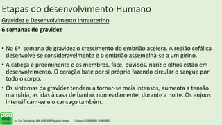 Etapas do desenvolvimento Humano
Gravidez e Desenvolvimento Intrauterino
6 semanas de gravidez
• Na 6ª semana de gravidez o crescimento do embrião acelera. A região cefálica
desenvolve-se consideravelmente e o embrião assemelha-se a um girino.
• A cabeça é proeminente e os membros, face, ouvidos, nariz e olhos estão em
desenvolvimento. O coração bate por si próprio fazendo circular o sangue por
todo o corpo.
• Os sintomas da gravidez tendem a tornar-se mais intensos, aumenta a tensão
mamária, as idas à casa de banho, nomeadamente, durante a noite. Os enjoos
intensificam-se e o cansaço também.
.
 
