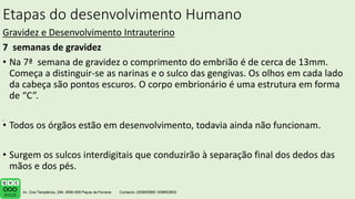 Etapas do desenvolvimento Humano
Gravidez e Desenvolvimento Intrauterino
7 semanas de gravidez
• Na 7ª semana de gravidez o comprimento do embrião é de cerca de 13mm.
Começa a distinguir-se as narinas e o sulco das gengivas. Os olhos em cada lado
da cabeça são pontos escuros. O corpo embrionário é uma estrutura em forma
de “C”.
• Todos os órgãos estão em desenvolvimento, todavia ainda não funcionam.
• Surgem os sulcos interdigitais que conduzirão à separação final dos dedos das
mãos e dos pés.
.
 