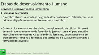 Etapas do desenvolvimento Humano
Gravidez e Desenvolvimento Intrauterino
7 semanas de gravidez
• O cérebro atravessa uma fase de grande desenvolvimento. Estabelecem-se as
primeiras ligações nervosas entre a retina e o cérebro.
• Os testículos e os ovários são, ainda, um aglomerado de células. O sexo é
determinado no momento da fecundação (cromossoma XY para embrião
masculino e cromossoma XX para embrião feminino, onde a presença do
cromossoma Y origina a formação dos testículos e a sua ausência origina a
formação dos ovários).
.
 