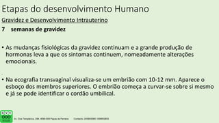 Etapas do desenvolvimento Humano
Gravidez e Desenvolvimento Intrauterino
7 semanas de gravidez
• As mudanças fisiológicas da gravidez continuam e a grande produção de
hormonas leva a que os sintomas continuem, nomeadamente alterações
emocionais.
• Na ecografia transvaginal visualiza-se um embrião com 10-12 mm. Aparece o
esboço dos membros superiores. O embrião começa a curvar-se sobre si mesmo
e já se pode identificar o cordão umbilical.
.
 