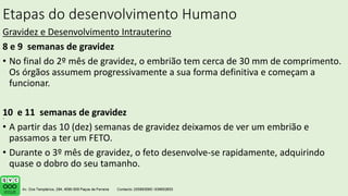 Etapas do desenvolvimento Humano
Gravidez e Desenvolvimento Intrauterino
8 e 9 semanas de gravidez
• No final do 2º mês de gravidez, o embrião tem cerca de 30 mm de comprimento.
Os órgãos assumem progressivamente a sua forma definitiva e começam a
funcionar.
10 e 11 semanas de gravidez
• A partir das 10 (dez) semanas de gravidez deixamos de ver um embrião e
passamos a ter um FETO.
• Durante o 3º mês de gravidez, o feto desenvolve-se rapidamente, adquirindo
quase o dobro do seu tamanho.
.
 