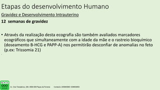 Etapas do desenvolvimento Humano
Gravidez e Desenvolvimento Intrauterino
12 semanas de gravidez
• Através da realização desta ecografia são também avaliados marcadores
ecográficos que simultaneamente com a idade da mãe e o rastreio bioquímico
(doseamento B-HCG e PAPP-A) nos permitirão desconfiar de anomalias no feto
(p.ex: Trissomia 21)
.
 