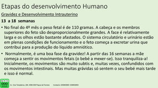 Etapas do desenvolvimento Humano
Gravidez e Desenvolvimento Intrauterino
13 a 18 semanas
• No final do 4º mês o peso fetal é de 110 gramas. A cabeça e os membros
superiores do feto são desproporcionalmente grandes. A face é relativamente
larga e os olhos estão bastante afastados. O sistema circulatório e urinário estão
em plenas condições de funcionamento e o feto começa a excretar urina que
contribui para a produção do líquido amniótico.
• Normalmente, é uma boa fase da gravidez! A partir das 16 semanas a mãe
começa a sentir os movimentos fetais (o bebé a mexer-se). Isso tranquiliza-a!
Inicialmente, os movimentos são muito subtis e, muitas vezes, confundidos com
os movimentos intestinais. Mas muitas grávidas só sentem o seu bebé mais tarde
e isso é normal.
.
 