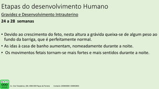 Etapas do desenvolvimento Humano
Gravidez e Desenvolvimento Intrauterino
24 a 28 semanas
• Devido ao crescimento do feto, nesta altura a grávida queixa-se de algum peso ao
fundo da barriga, que é perfeitamente normal.
• As idas à casa de banho aumentam, nomeadamente durante a noite.
• Os movimentos fetais tornam-se mais fortes e mais sentidos durante a noite.
.
 