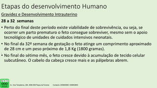 Etapas do desenvolvimento Humano
Gravidez e Desenvolvimento Intrauterino
28 a 32 semanas
• Perto do final deste período existe viabilidade de sobrevivência, ou seja, se
ocorrer um parto prematuro o feto consegue sobreviver, mesmo sem o apoio
tecnológico de unidades de cuidados intensivos neonatais.
• No final da 32ª semana de gestação o feto atinge um comprimento aproximado
de 28 cm e um peso próximo de 1,8 Kg (1800 gramas).
• No final do sétimo mês, o feto cresce devido à acumulação de tecido celular
subcutâneo. O cabelo da cabeça cresce mais e as pálpebras abrem.
.
 