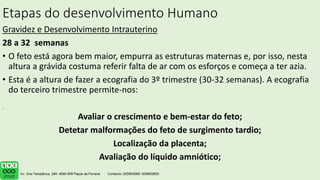 Etapas do desenvolvimento Humano
Gravidez e Desenvolvimento Intrauterino
28 a 32 semanas
• O feto está agora bem maior, empurra as estruturas maternas e, por isso, nesta
altura a grávida costuma referir falta de ar com os esforços e começa a ter azia.
• Esta é a altura de fazer a ecografia do 3º trimestre (30-32 semanas). A ecografia
do terceiro trimestre permite-nos:
Avaliar o crescimento e bem-estar do feto;
Detetar malformações do feto de surgimento tardio;
Localização da placenta;
Avaliação do líquido amniótico;
.
 