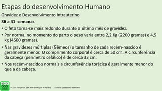 Etapas do desenvolvimento Humano
Gravidez e Desenvolvimento Intrauterino
36 a 41 semanas
• O feto torna-se mais redondo durante o último mês de gravidez.
• Por norma, no momento do parto o peso varia entre 2,2 Kg (2200 gramas) e 4,5
kg (4500 gramas).
• Nas gravidezes múltiplas (Gêmeos) o tamanho de cada recém-nascido é
geralmente menor. O comprimento corporal é cerca de 50 cm. A circunferência
da cabeça (perímetro cefálico) é de cerca 33 cm.
• Nos recém-nascidos normais a circunferência torácica é geralmente menor do
que a da cabeça.
.
 