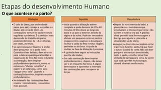 Etapas do desenvolvimento Humano
O que acontece no parto?
.
Dilatação
•O colo do útero, por onde o bebé
passa para sair, começa a encurtar e a
dilatar até cerca de 10cm. As
contracções tornam-se cada vez mais
regulares e próximas. É o período mais
demorado do trabalho de parto,
podendo demorar de 12 a 16 horas,
por vezes, até mais.
•Se a grávida quiser levantar e andar,
deve perguntar se o pode fazer.
Quando estiver deitada, deve virar-se
para o lado esquerdo para facilitar a
oxigenação do feto; No início e durante
a contracção, deve inspirar
profundamente pelo nariz, como se
estivesse a “cheirar uma flor”, e
expelir o ar pela boca, como para
“apagar uma vela”. Quando a
contracção terminar, inspirar e expirar
profundamente.
•No intervalo das contracções deve
respirar normalmente, relaxando o
mais possível.
Expulsão
•Inicia quando a dilatação estiver
completa e pode demorar de 20 a 40
minutos. O feto desce ao longo da
bacia e sai para o exterior através da
vagina e da vulva. Pode ser necessário
efetuar um pequeno corte no perínro
(espaço entre a vagina e o ânus) para
facilitar a saída do feto e evitar rasgões
perineias ou do ânus. A ajuda da
mulher na fase de dilatação é preciosa.
•A grávida deve seguir as instruções
que lhe são dadas;
•Em cada contracção deve inspirar
profundamente e, depois, não deixar
sair o ar enquanto faz força. A seguir
deve expirar e aproveitar o intervalo
das contracções para recuperar as
forças.
Dequitadura
•Depois do nascimento do bebé, a
placenta e as membranas que
envolveram o feto saem por si (se não
saírem o médico tira-as). A grávida
deve permitir que lhe massagem a
barriga para ajudar a placenta a
desprender-se do útero;
•A seguir, se tiver sido necessário cortar
o períneo durante parto, há que fazer
a sutura (coser) do corte. Não vai doer
porque a zona estará anestesiada;
Após o parto, a mulher deve ficar
deitada de barriga para cima. Se sentir
que está a perder muito sangue,
deverá chamar a enfermeira.
 