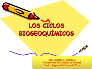 LOS CICLOS BIOGEOQUÍMICOS Dra. Vanessa V. Valdés S.  