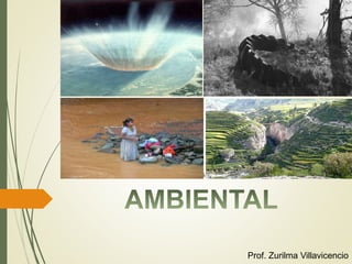 Prof. Zurilma Villavicencio
 