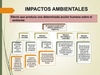 IMPACTOS AMBIENTALES
Efecto que produce una determinada acción humana sobre el
ambiente.
El impacto puede tener
efectos positivos o
negativos
Efectos
sociales
Ruido
generado
por el
tráfico en
una
autopista
Impacto
negativo
sobre la
calidad de
vida de los
habitantes
cercanos a la
autopista
Recrecimi
ento de
una presa
existente
Impacto
positivo por
abastecimien
to de agua
en época de
sequía
Efectos
económicos
Líneas de
alta
velocidad
Impacto positivo
en el desarrollo
económico de las
comunidades por
donde pasa las
líneas.
Efectos
tecnológico -
culturales
Se caracterizan por
su efecto negativo,
ya que en
ocasiones, la
actividad humana
pueden destruir
bienes
Efectos
ecológicos
Generalmente
es de carácter
negativo, ya
que puede
suponer el
desplazamiento
de poblaciones
o la destrucción
de hábitats
 