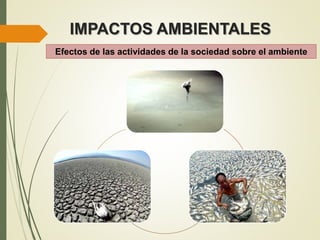 IMPACTOS AMBIENTALES
Efectos de las actividades de la sociedad sobre el ambiente
 
