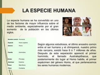 LA ESPECIE HUMANA
La especie humana se ha convertido en uno
de los factores de mayor influencia sobre el
medio ambiente, especialmente por el gran
aumento de la población en los últimos
siglos.
Nombre común Humanos
Especie Homo sapiens
Género Homo
Familia Homínidos
Orden Primates
Subclase Euterios
Clase Mamíferos
Filum Cordados
Según algunos estudiosos, el último ancestro común
entre el ser humano y el chimpancé, nuestro primo
más cercano, existió hace 6 ó 7 millones de años.
Después de esta separación apareció el primer
homínido, el llamado Australopithecus, que
posteriormente dio lugar al Homo habilis, el primer
espécimen del género Homo, al que pertenecemos
los seres humanos modernos.
 