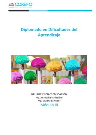 Diplomado en Dificultades del
Aprendizaje
NEUROCIENCIA Y EDUCACIÓN
Mg. Ana Isabel Aldazábal
Mg. Viviana Salvador
Módulo III
 