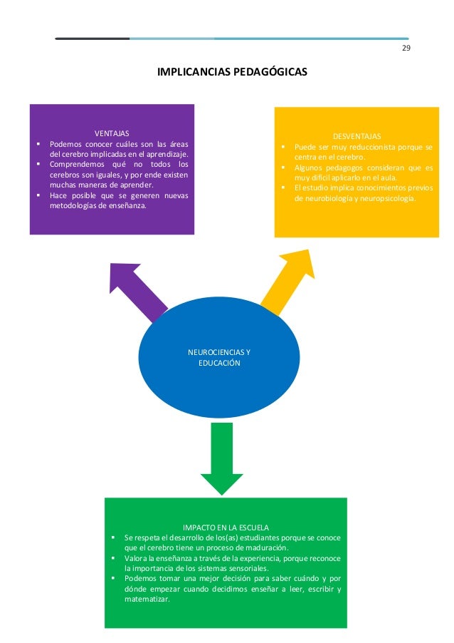 NEUROCIENCIA Y EDUCACIÓN