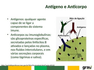 Antígeno e Anticorpo
• Antígenos: qualquer agente
capaz de se ligar a
componentes do sistema
imune.
• Anticorpos ou imunoglobulinas:
são glicoproteínas específicas,
secretadas pelos linfócitos B
ativados e lançadas no plasma,
nos fluidos intercelulares, e em
várias secreções corporais
(como lágrimas e saliva).
http://portaldoprofessor.mec.gov.br/fichaTecnicaAula.html?aula=49132
 
