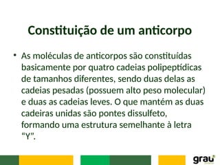 Constituição de um anticorpo
• As moléculas de anticorpos são constituídas
basicamente por quatro cadeias polipeptídicas
de tamanhos diferentes, sendo duas delas as
cadeias pesadas (possuem alto peso molecular)
e duas as cadeias leves. O que mantém as duas
cadeiras unidas são pontes dissulfeto,
formando uma estrutura semelhante à letra
“Y”.
 