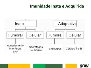 Imunidade Inata e Adquirida
 