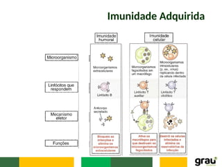 Imunidade Adquirida
 