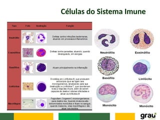 Células do Sistema Imune
 