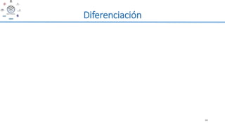 40
Diferenciación
 