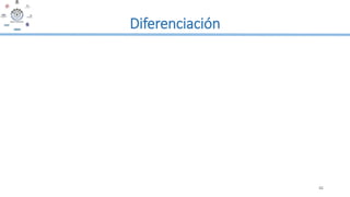 42
Diferenciación
 