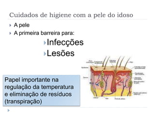 Cuidados de higiene com a pele do idoso
 A pele
 A primeira barreira para:
Infecções
Lesões
Papel importante na
regulação da temperatura
e eliminação de resíduos
(transpiração)
 
