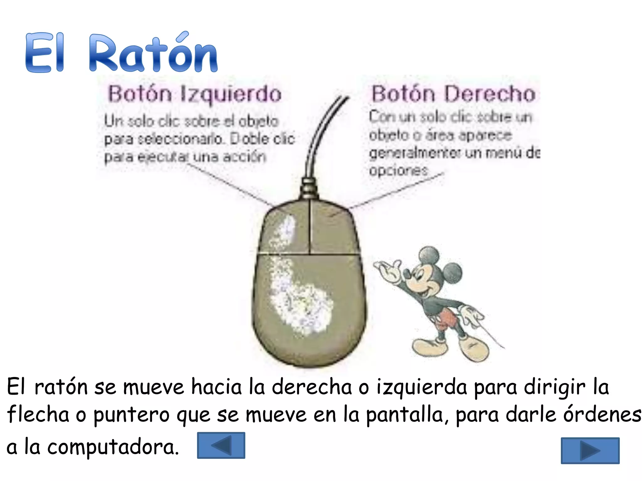 El ratón se mueve hacia la derecha o izquierda para dirigir la
flecha o puntero que se mueve en la pantalla, para darle órdenes
a la computadora.
 