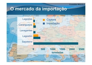 CrustaSea Módulo I


O mercado da importação

      Lagostas
       Spiny lobsters              Captura
                                   Importação
   Caranguejos
           Crabs



    Lavagantes
          Homarids



      Lagostim
       Norw ay lobster



      Sapateira
         Edible crab




                         0   500     1000   1500   2000       2500
                                      toneladas
 