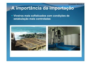 CrustaSea Módulo I

A importância da importação
Viveiros mais sofisticados com condições de
estabulação mais controladas
 