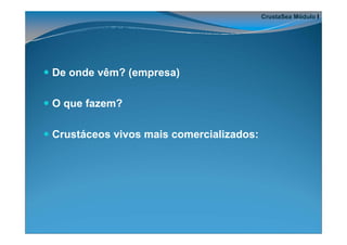 CrustaSea Módulo I




De onde vêm? (empresa)

O que fazem?

Crustáceos vivos mais comercializados:
 