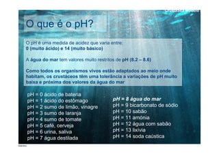 CrustaSea Módulo I


O que é o pH?
O pH é uma medida de acidez que varia entre:
0 (muito ácido) e 14 (muito básico)

A água do mar tem valores muito restritos de pH (8.2 – 8.6)

Como todos os organismos vivos estão adaptados ao meio onde
habitam, os crustáceos têm uma tolerância a variações de pH muito
baixa e próxima dos valores da água do mar

pH = 0 ácido de bateria
pH = 1 ácido do estômago                pH = 8 água do mar
pH = 2 sumo de limão, vinagre           pH = 9 bicarbonato de sódio
pH = 3 sumo de laranja                  pH = 10 sabão
pH = 4 sumo de tomate                   pH = 11 amónia
pH = 5 café, cerveja                    pH = 12 água com sabão
pH = 6 urina, saliva                    pH = 13 lixívia
pH = 7 água destilada                   pH = 14 soda caústica
 