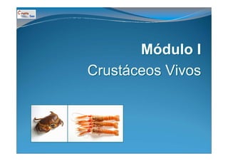 Módulo I
       Módulo
Crustáceos Vivos
Crustáceos
 