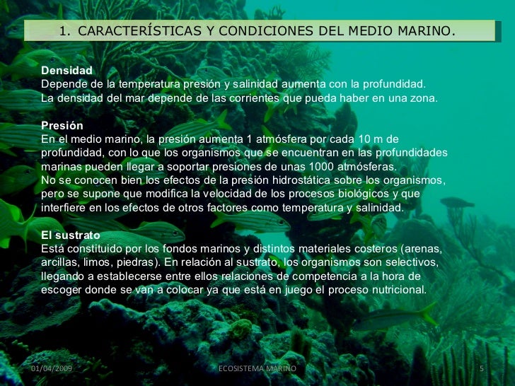 Módulo iv ECOSISTEMA MARINO