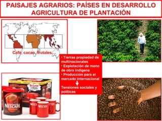 PAISAJES AGRARIOS: PAÍSES EN DESARROLLO
       AGRICULTURA DE PLANTACIÓN




 Café, cacao, frutales…
                          • Tierras propiedad de
                          multinacionales
                          • Explotación de mano
                          de obra indígena
                          • Producción para el
                          mercado internacional

                          Tensiones sociales y
                          políticas
 