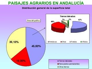 PAISAJES AGRARIOS EN ANDALUCÍA
 