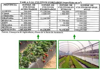 Módulo iv bloque 7 imágenes tercera parte