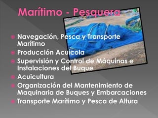  Navegación, Pesca y Transporte
Marítimo
 Producción Acuícola
 Supervisión y Control de Máquinas e
Instalaciones del Buque
 Acuicultura
 Organización del Mantenimiento de
Maquinaria de Buques y Embarcaciones
 Transporte Marítimo y Pesca de Altura
 